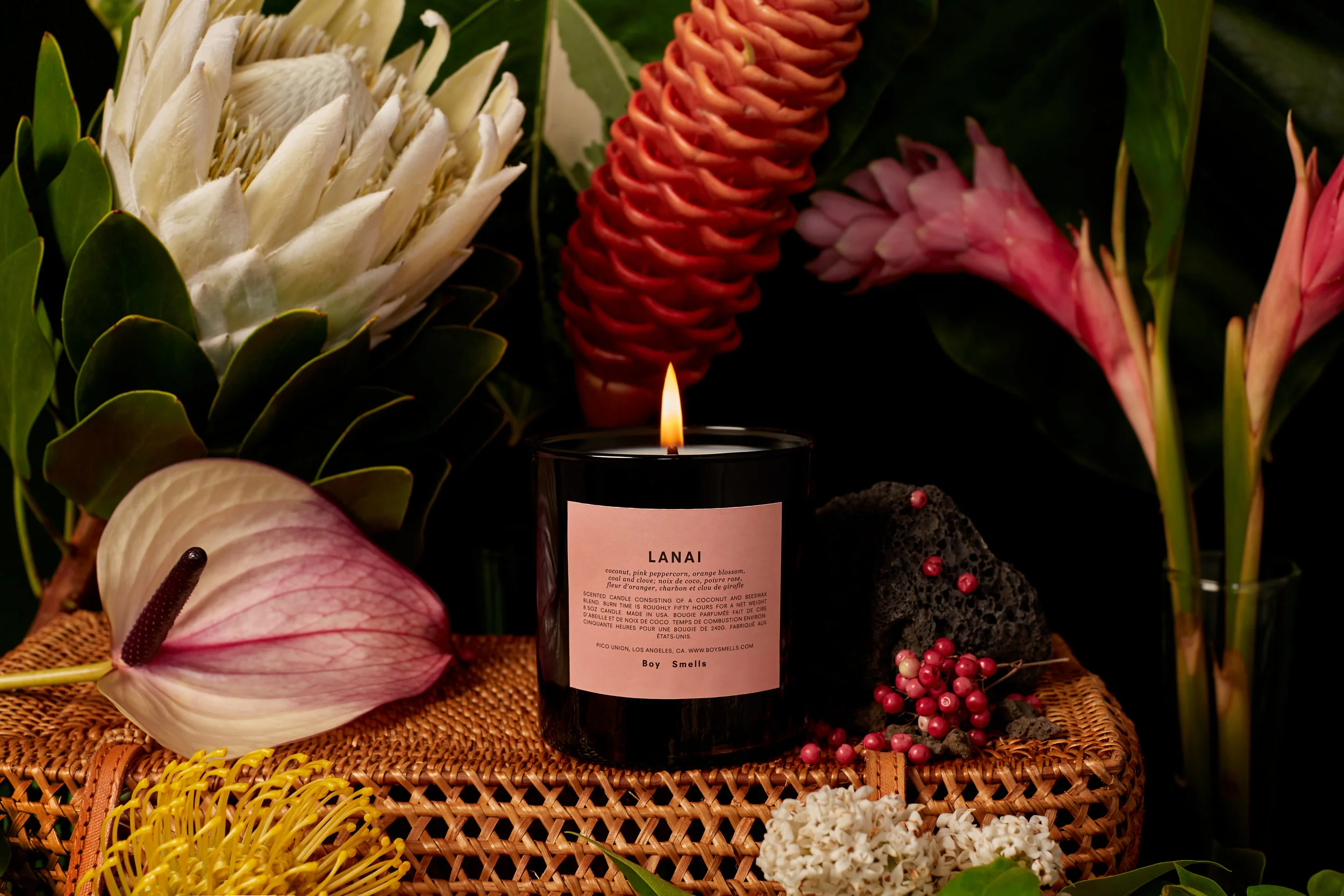 BoySmells_Editorial_Lanai.jpg