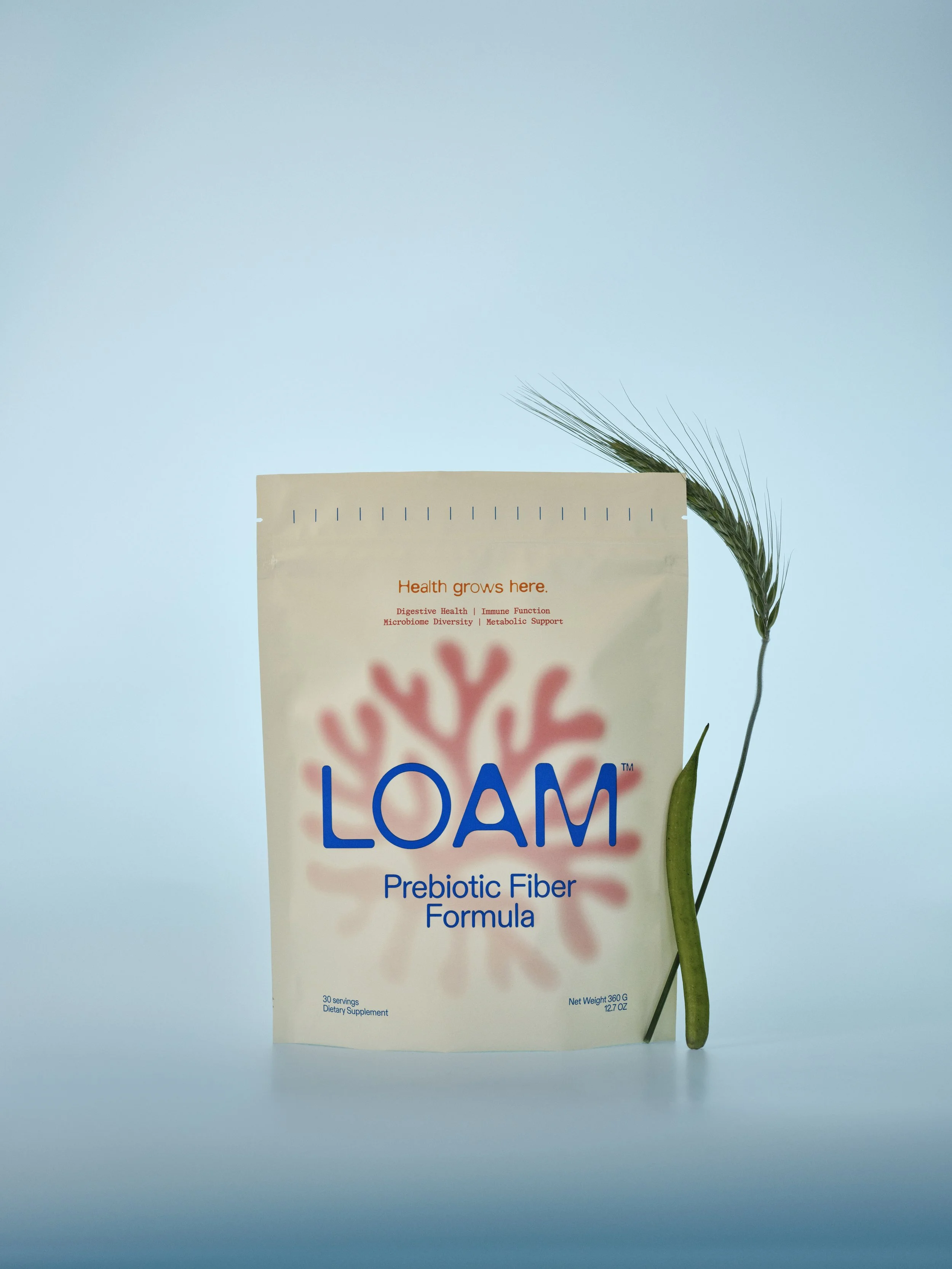 _LOAM-IsabellaBehravan-10202025-0135_V2 copy.jpg