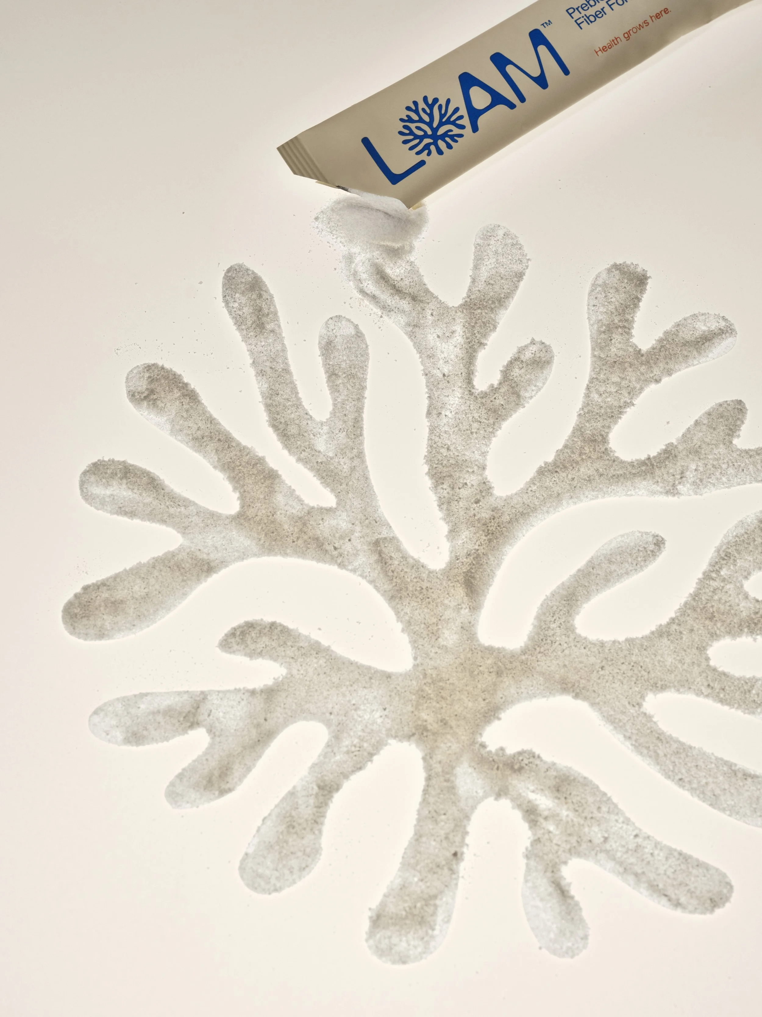 _LOAM-IsabellaBehravan-10202025-0513 copy.jpg