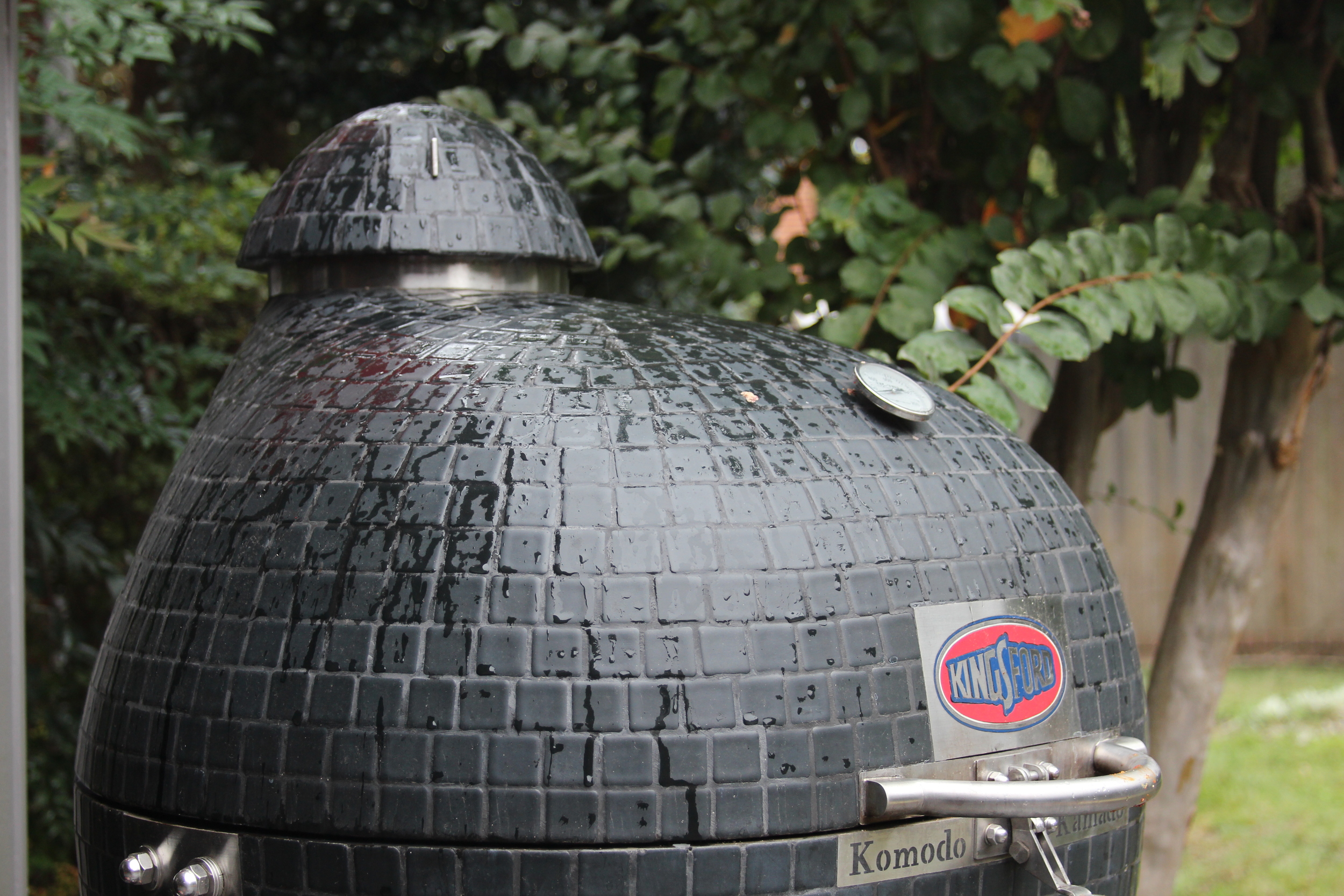 How to Grill in the Rain