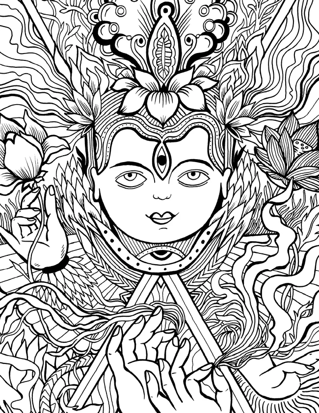 Miriam_castillo_Lotus.jpg
