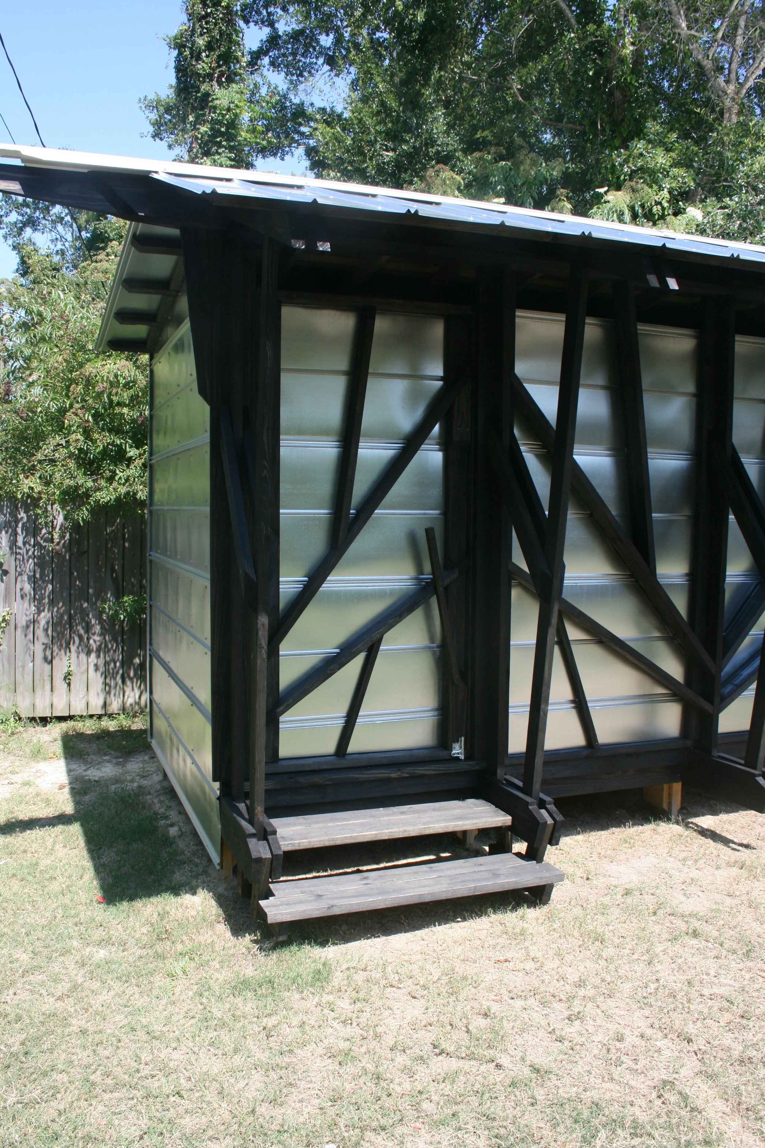 skimmers and kites 181.JPG