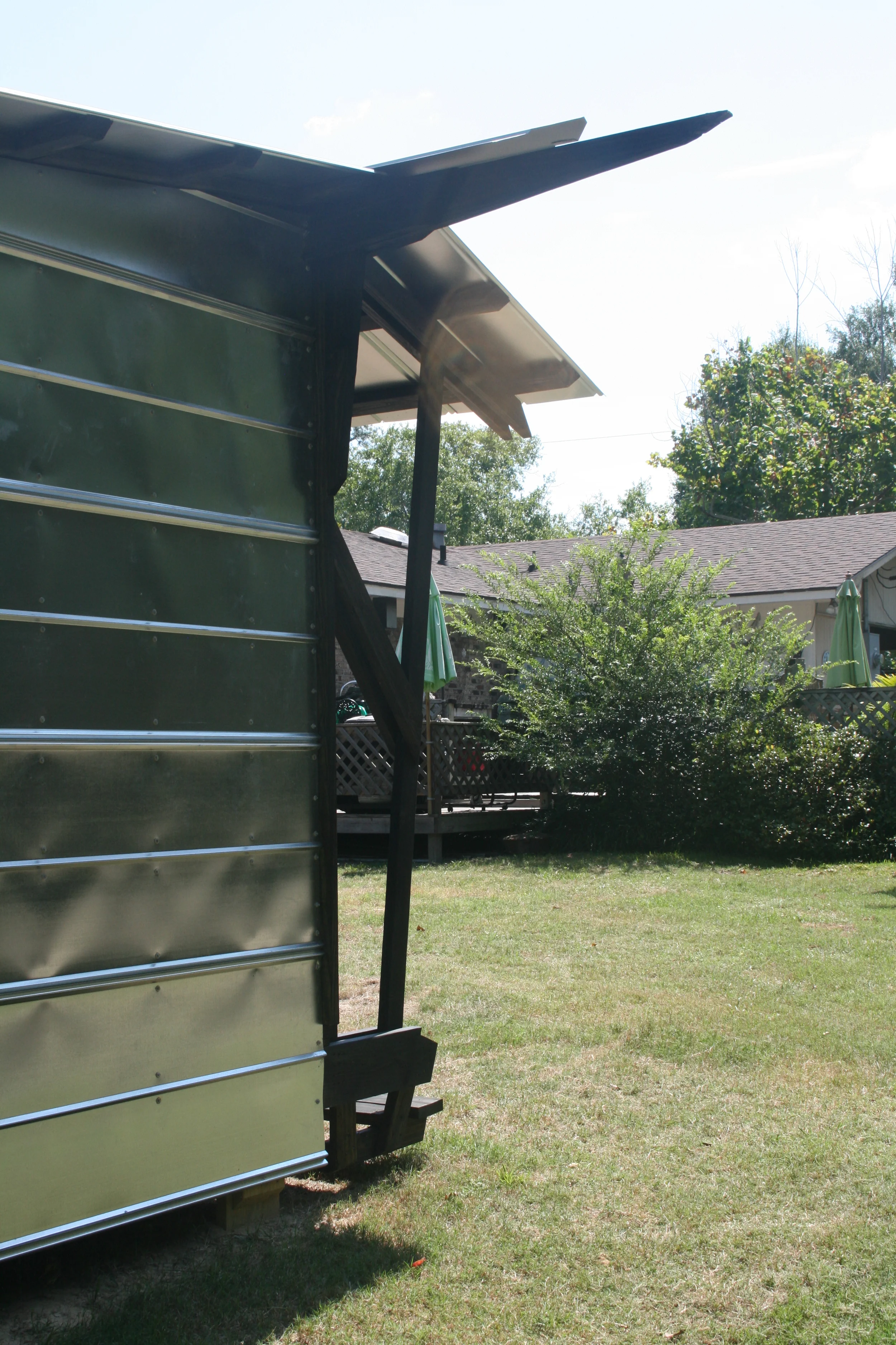 skimmers and kites 180.JPG