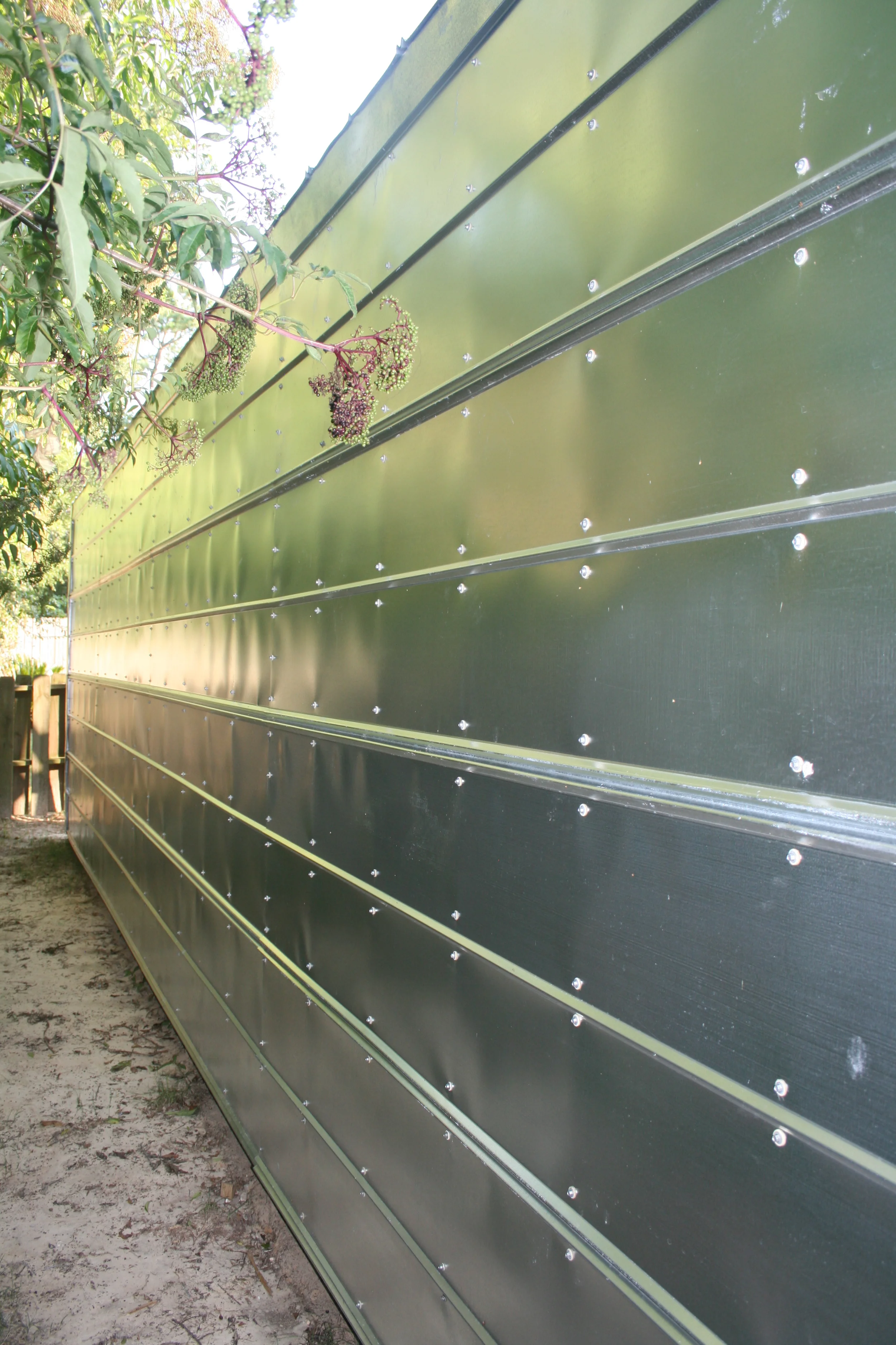 skimmers and kites 220.JPG