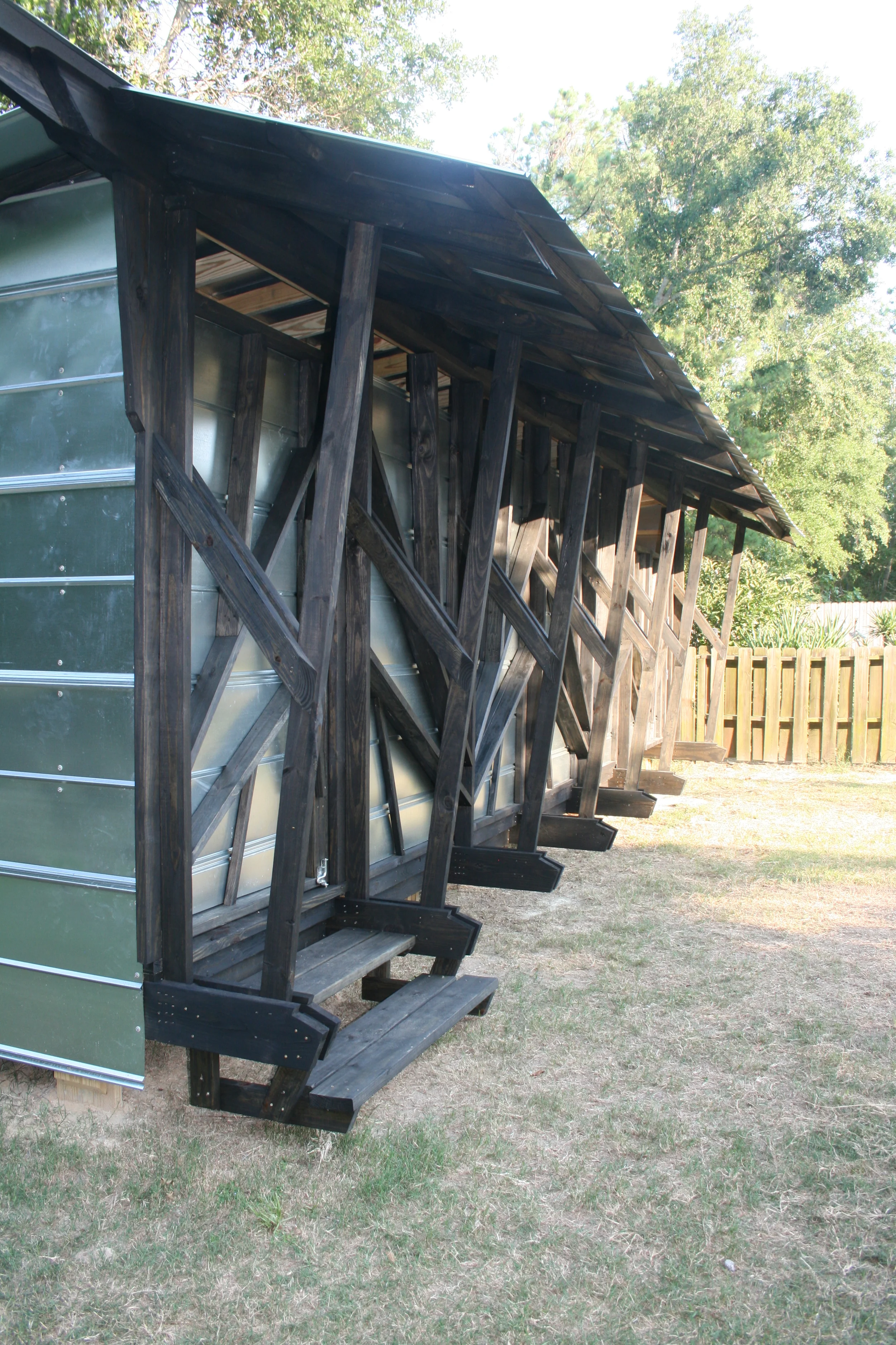 skimmers and kites 215.JPG