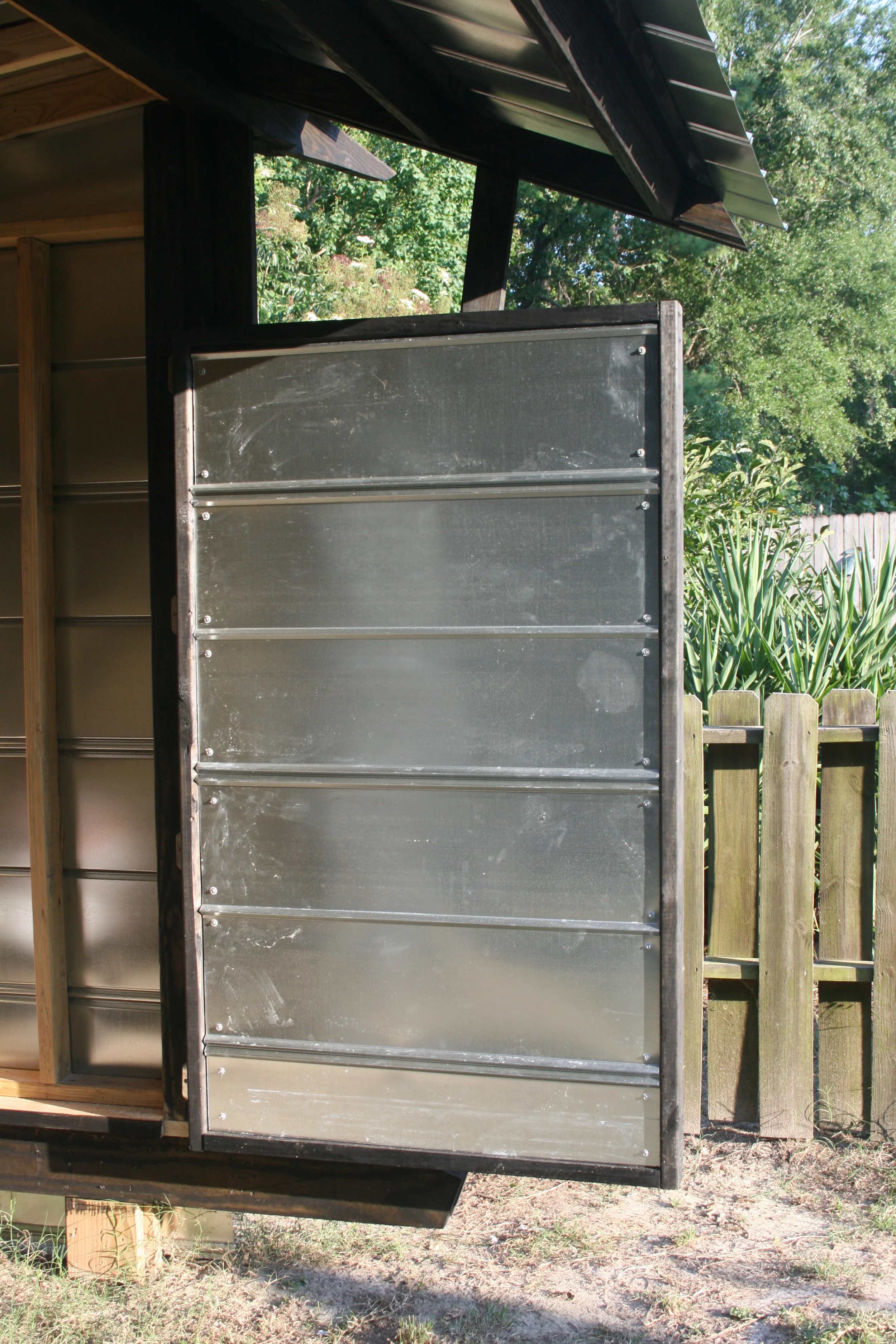 skimmers and kites 224.JPG