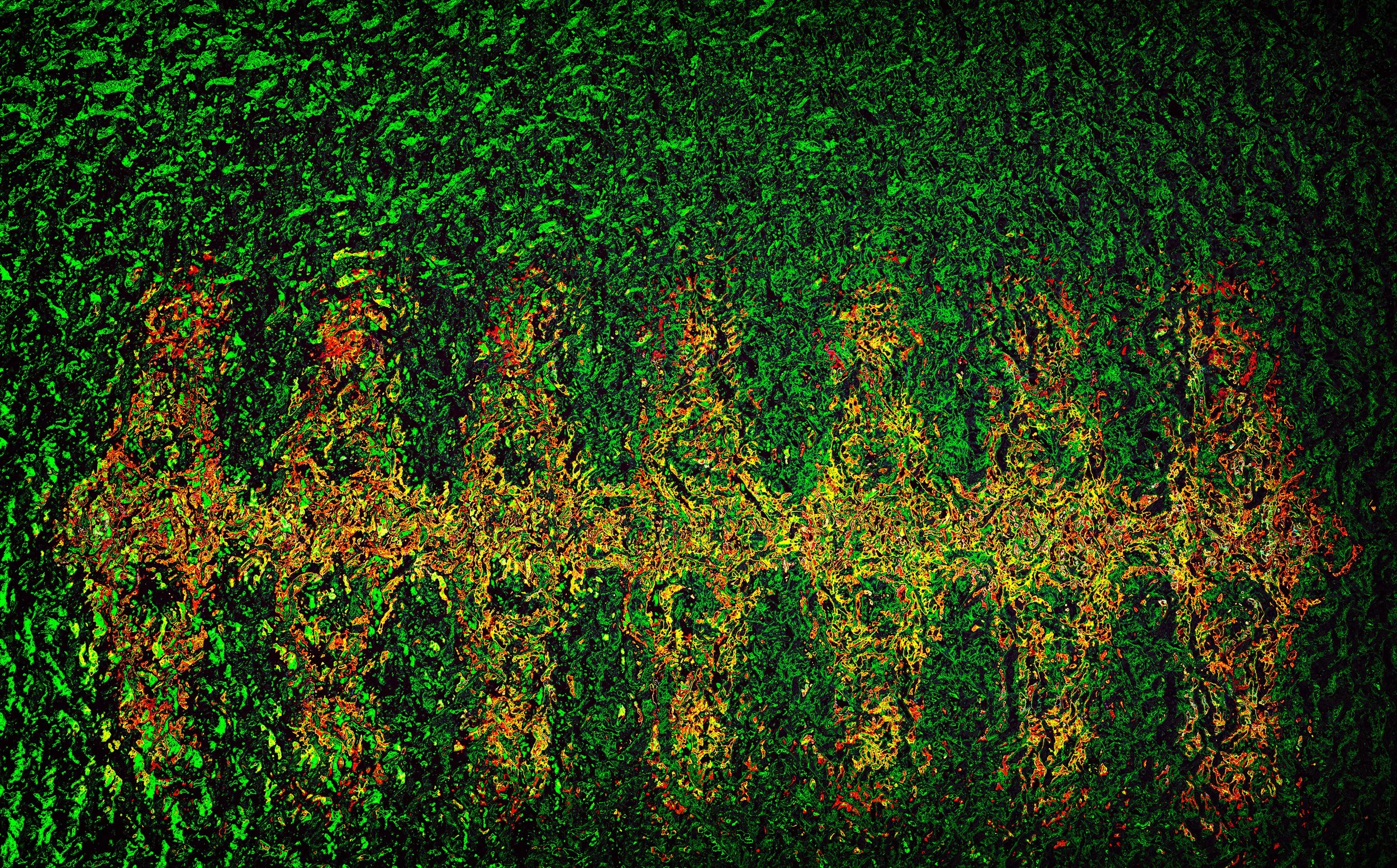 quantum Field.312.jpg