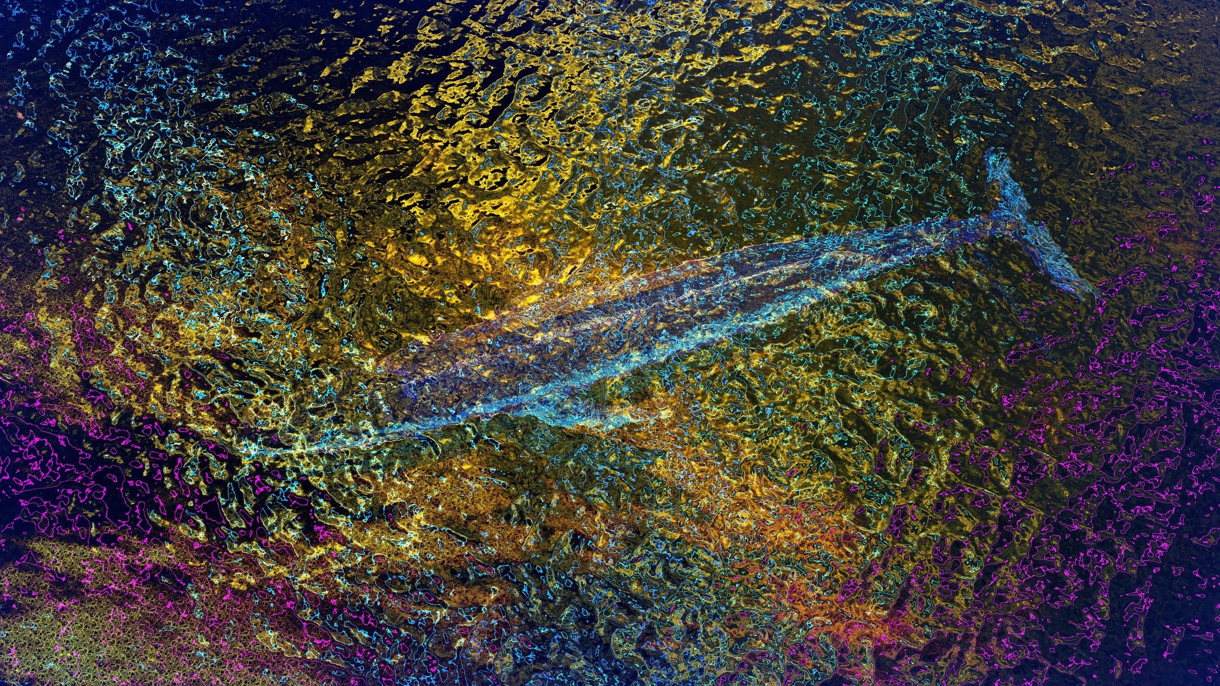 Blue Whale.39.jpg