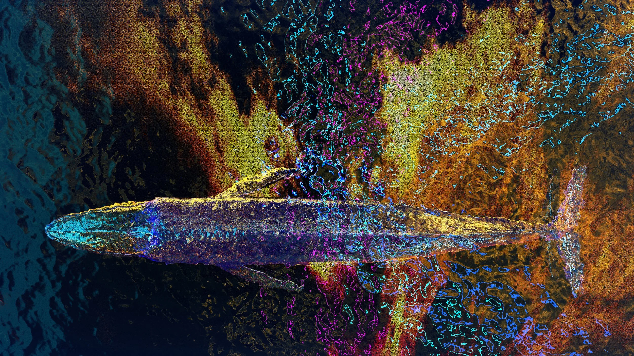 Blue Whale.44.jpg