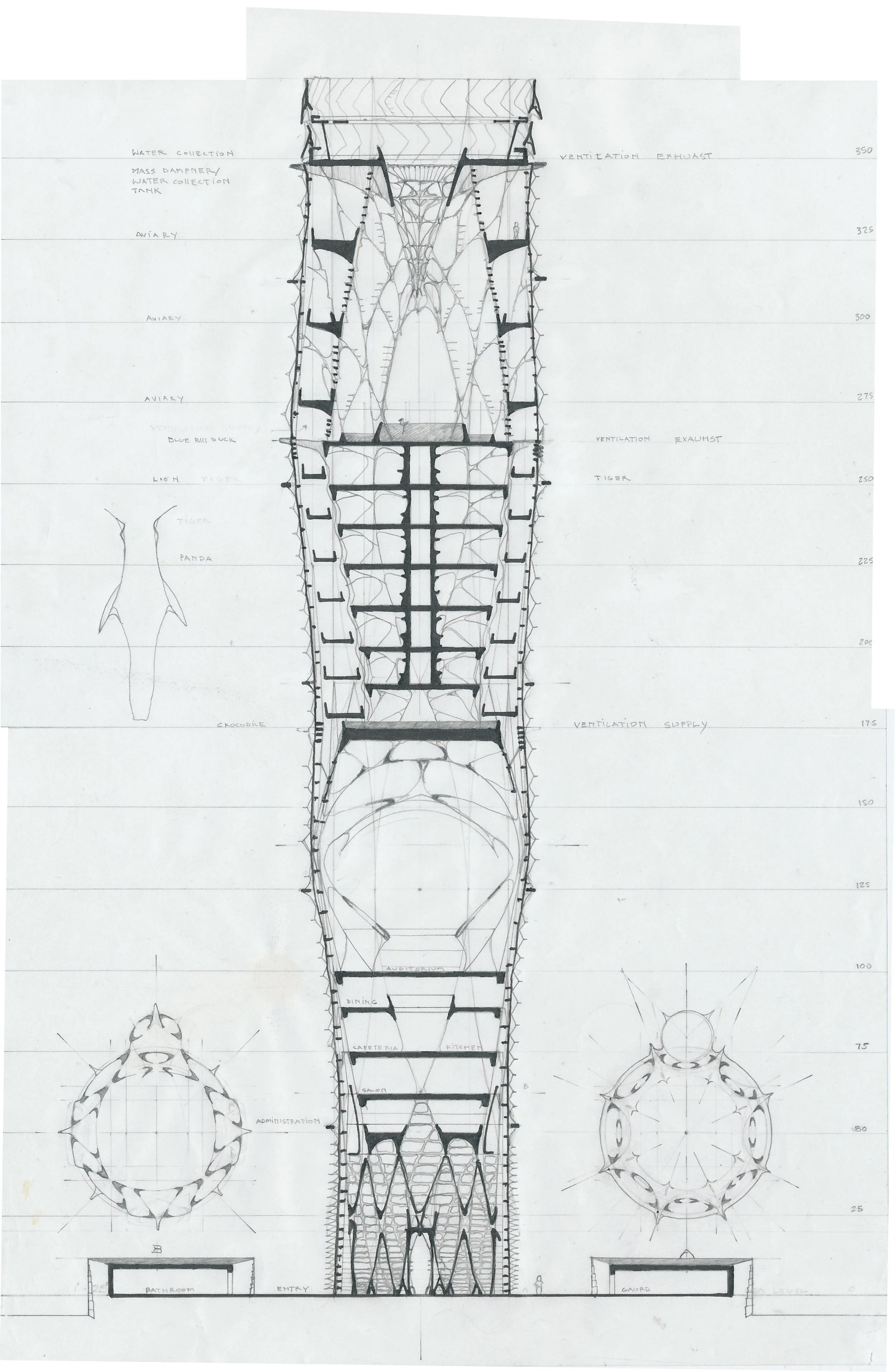 Phase7 Section.jpg