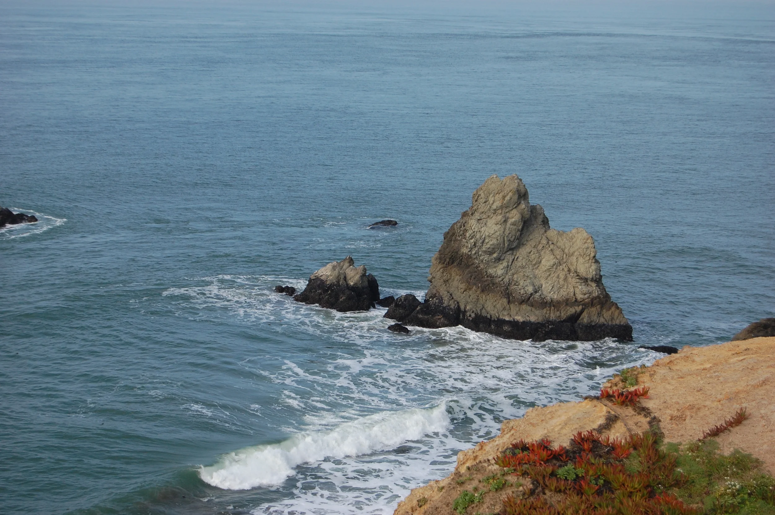 DSC_0422.JPG