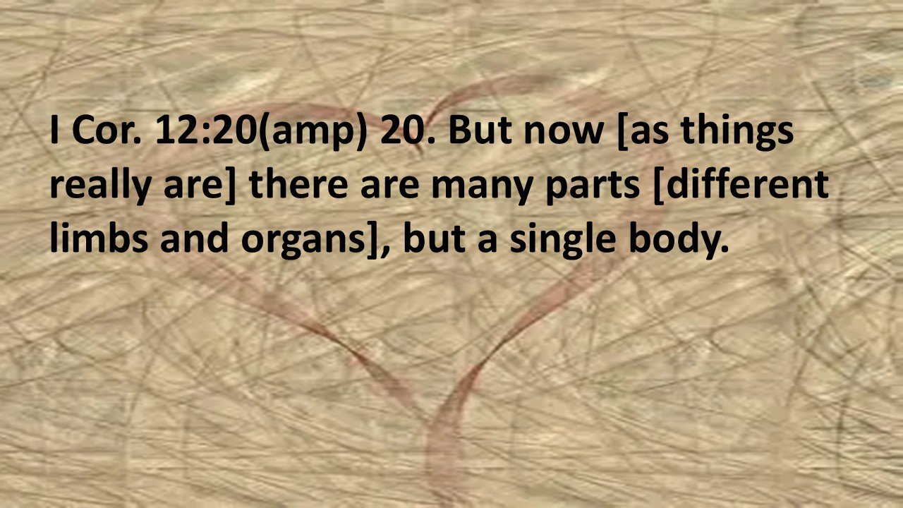 Slide12.JPG