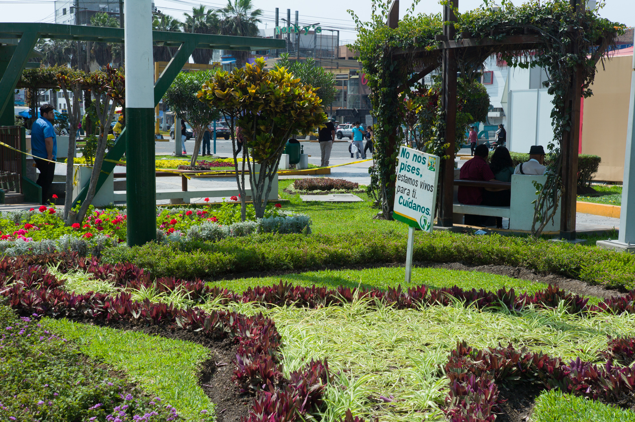 Main district plaza, adjacent to Los Olivos's municipality. Sign reads "do not step on us, we are alive for you, take care of us."