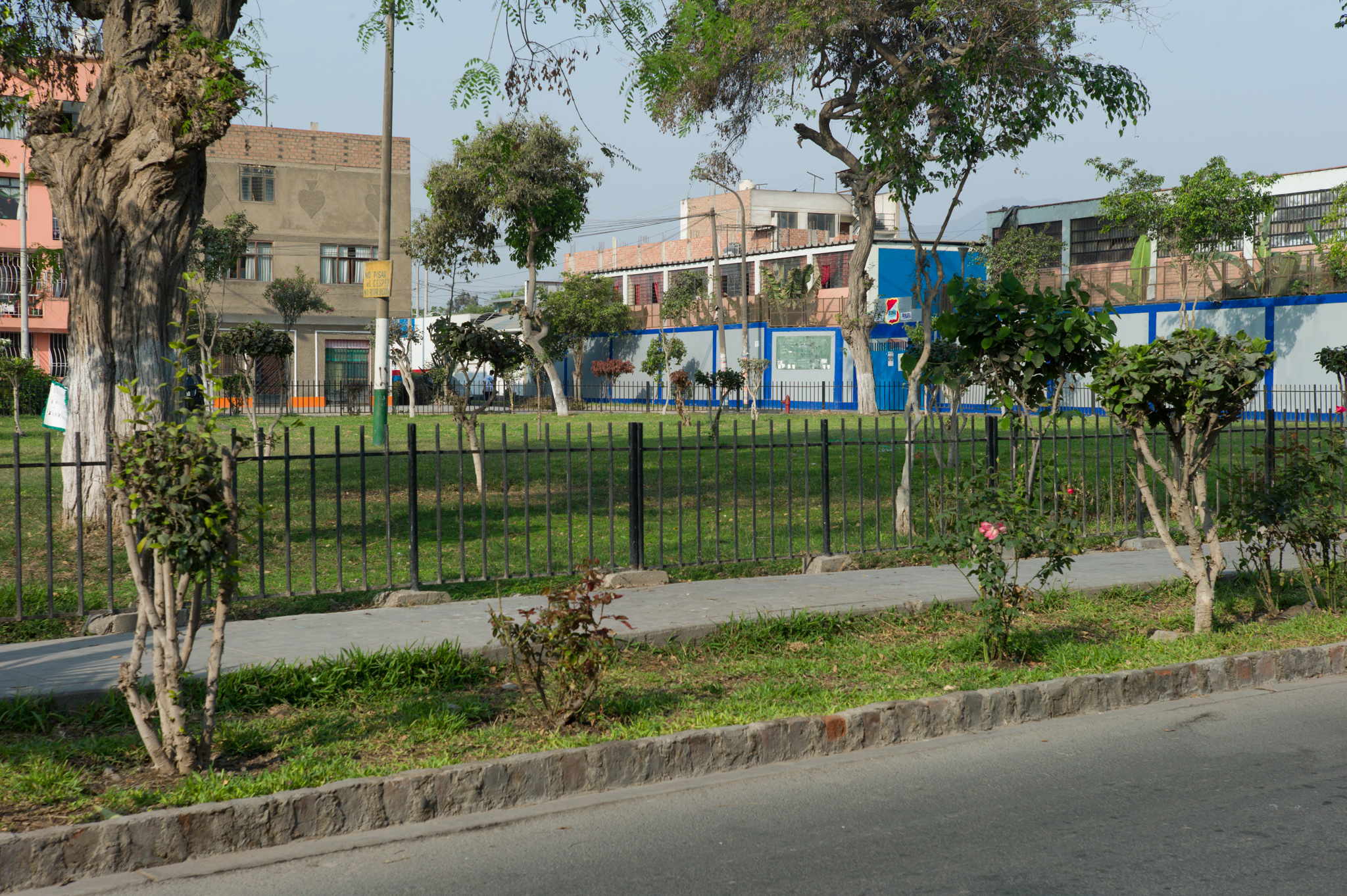 Same fenced park as previous picture.