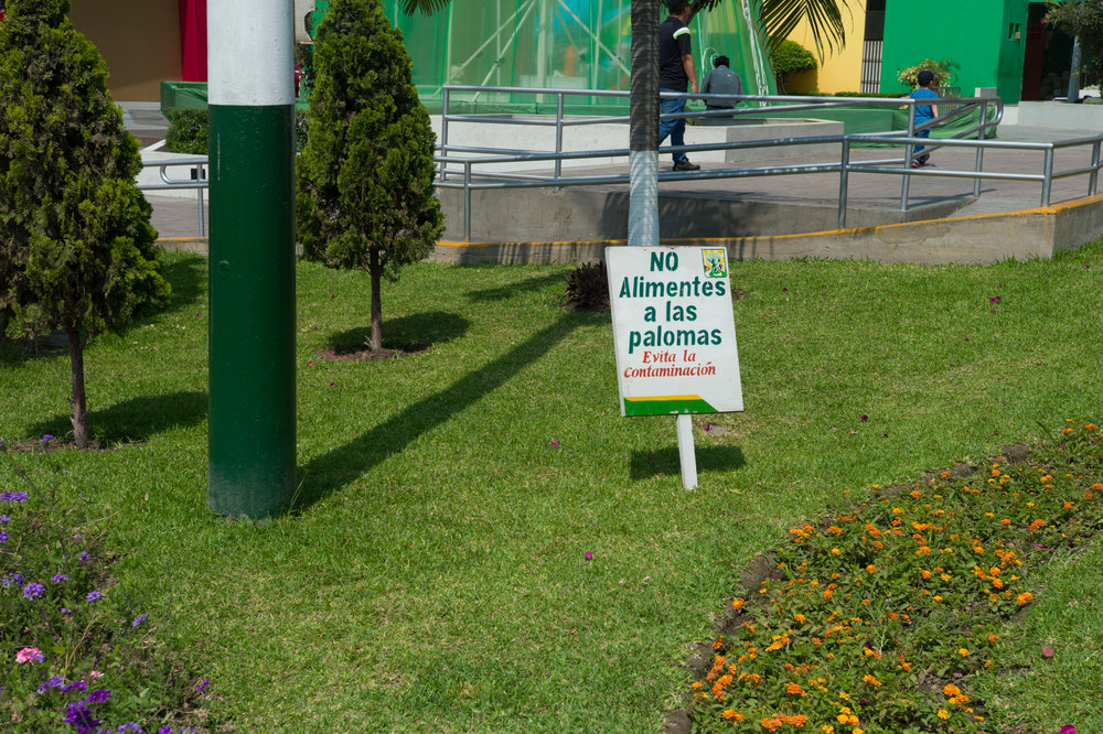  Main district plaza, adjacent to Los Olivos's municipality. Sign reads "do not feed the pigeons. Avoid polluting." 