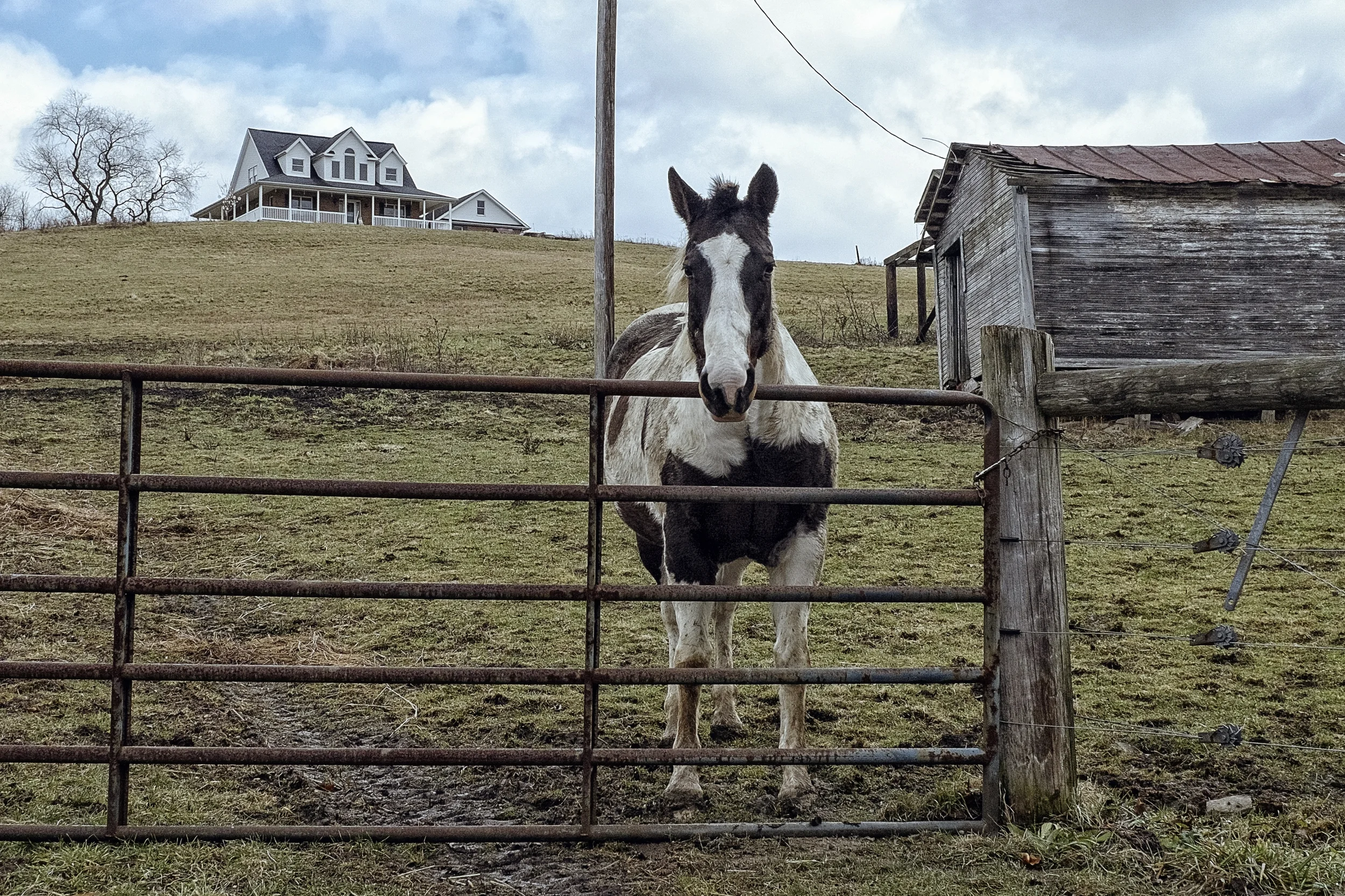 horse_barn.jpg