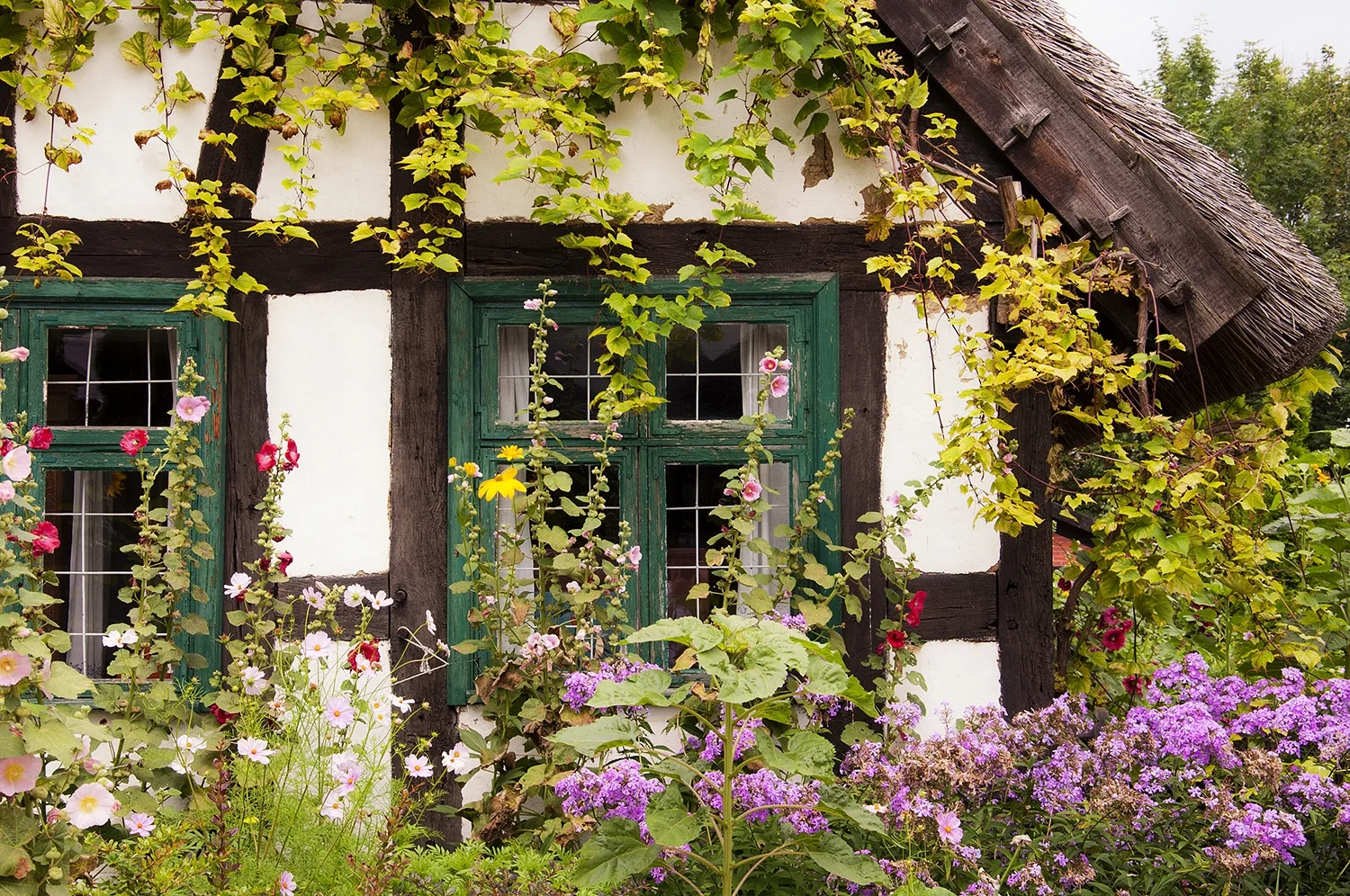English Cottage with Garden