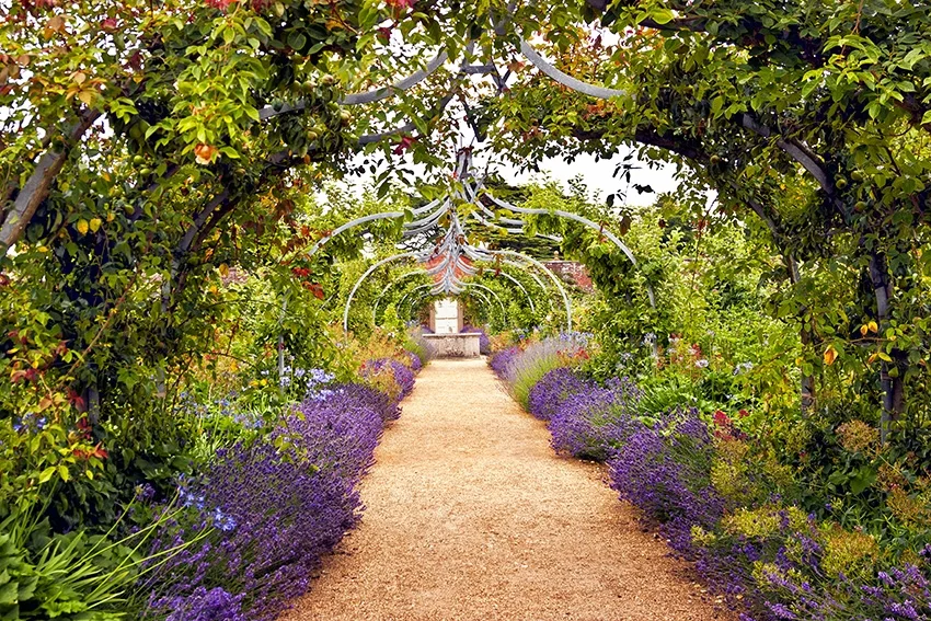 Garden in Provence