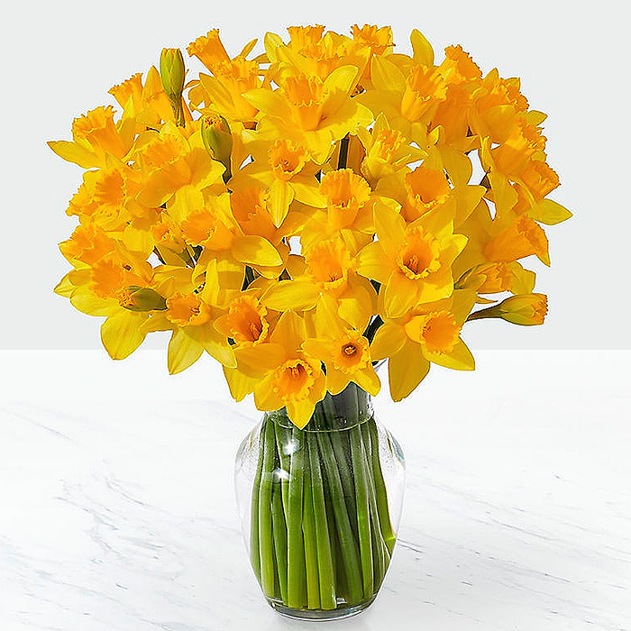 Striking Gold Daffodil Bouquet 