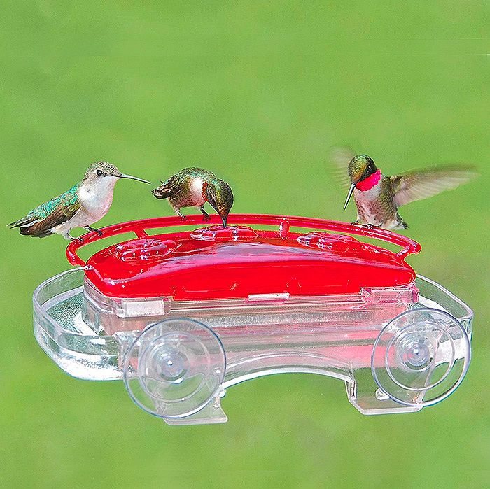  Aspects 407 Jewel Box Window Hummingbird Feeder, 8-Ounce 