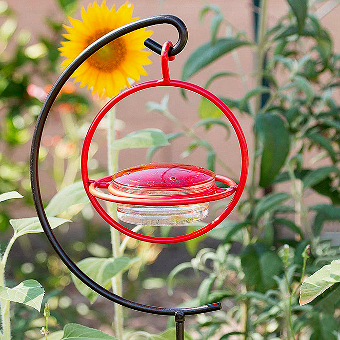 Best Small Glass Hummingbird Feeder with Red Perch - New Bee &amp; Wasp Proof Design by We Love Hummingbirds