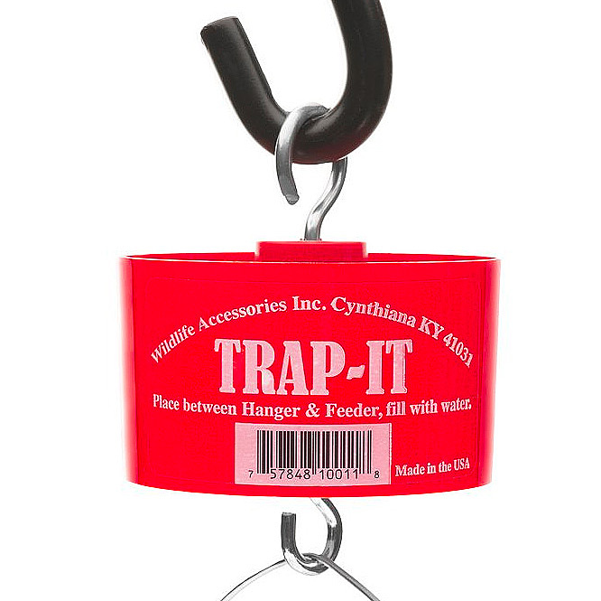 Ant Trap - Trap-It Moat by Wildlife Accessories  