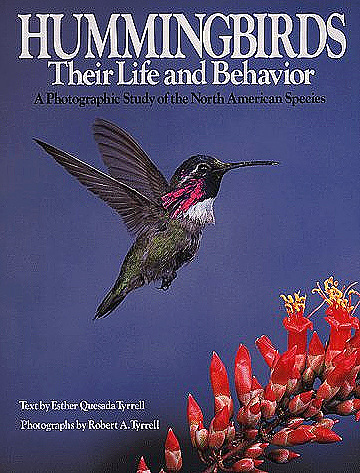 hummingbirds-their-life-and-behavior.jpg
