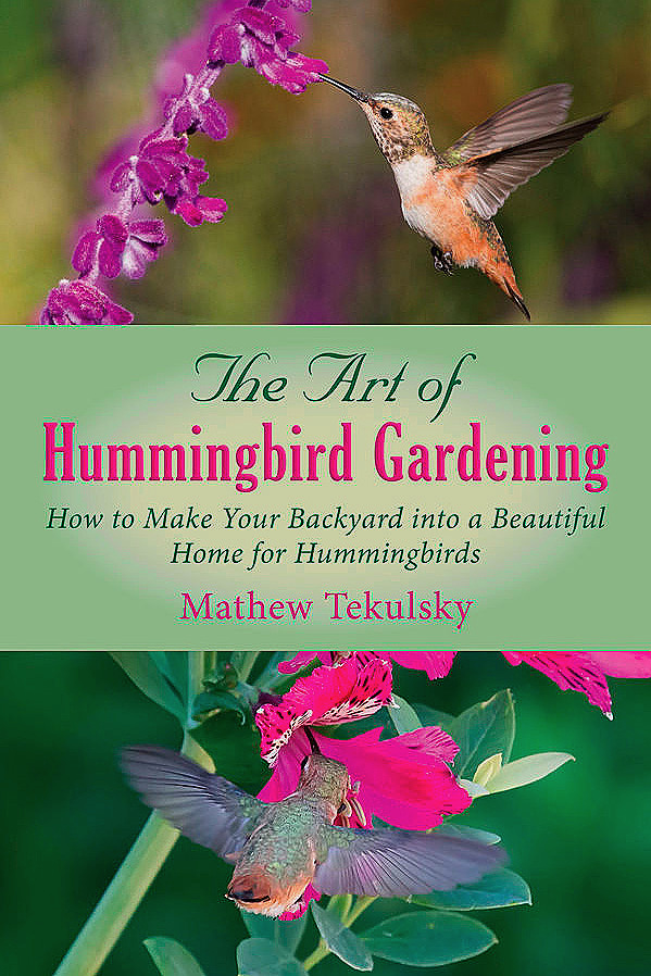 the-art-of-hummingbird-gardening-599-75.jpg