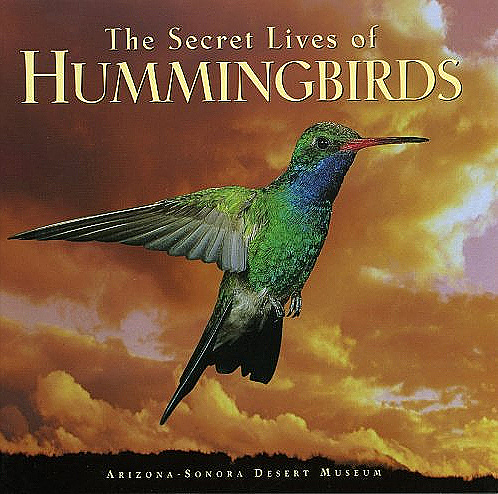 the-secret-lives-of-hummingbirds.jpg