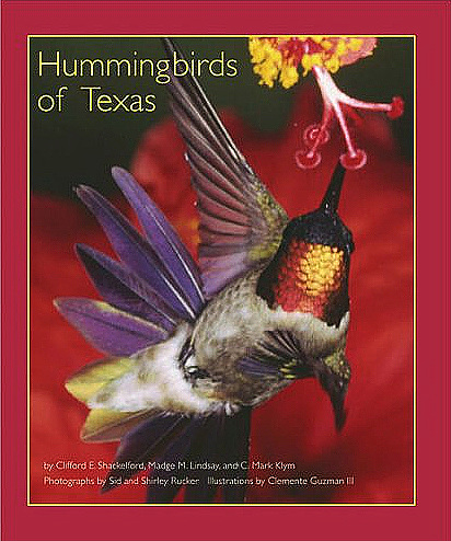 hummingbirds-of-texas.jpg