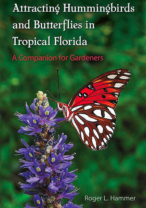 attracting-hummingbirds-butterflies-in-tropical-florida-500-75.jpg