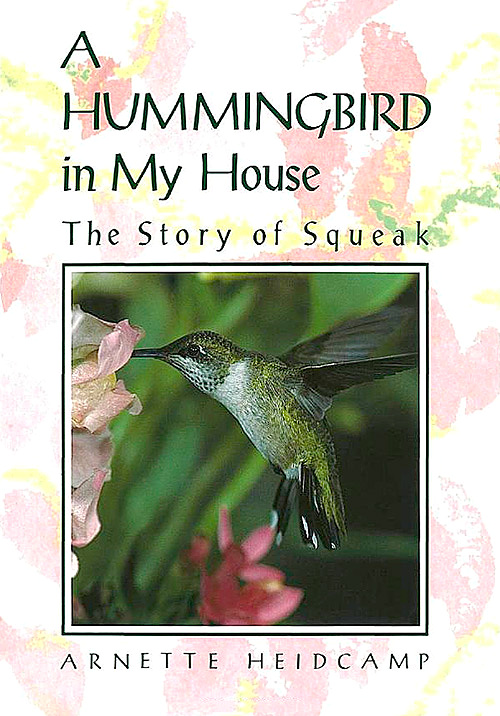 a-hummingbird-in-my-house-500-75.jpg