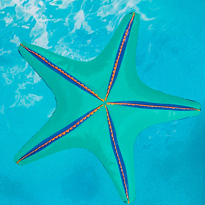 Oversized Starfish Float