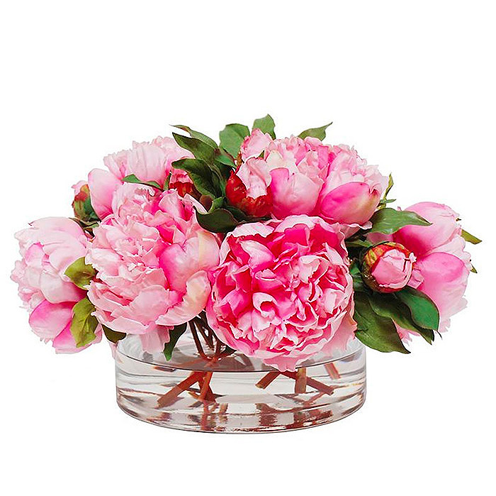 Peony in Open Cylinder Vase