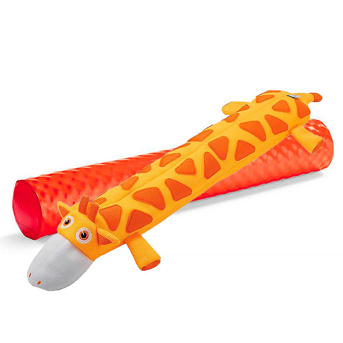 Safari Zzoodle Gavin Giraffe &amp; World's Finest Pool Noodle 