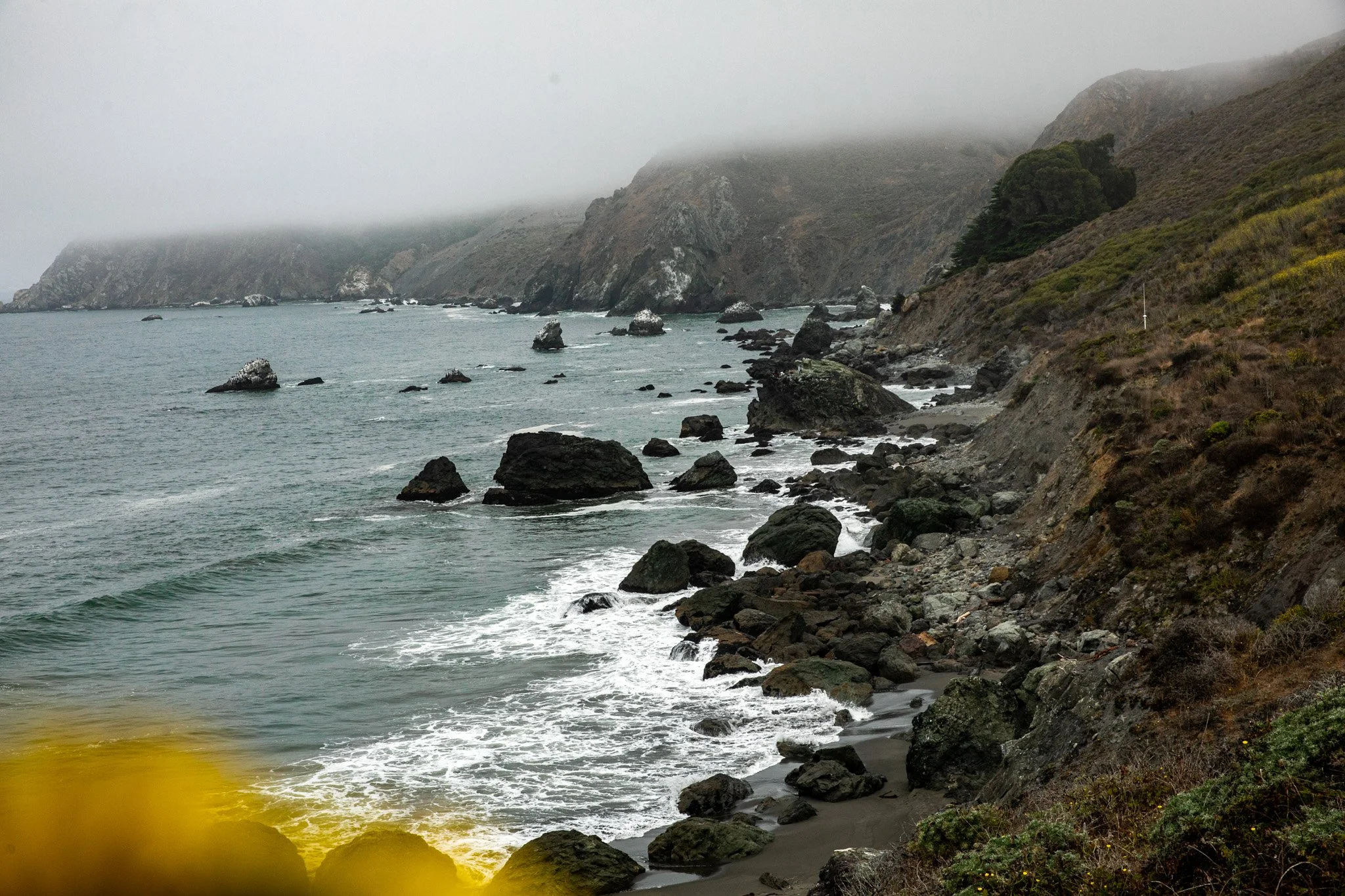 105A0719.jpg