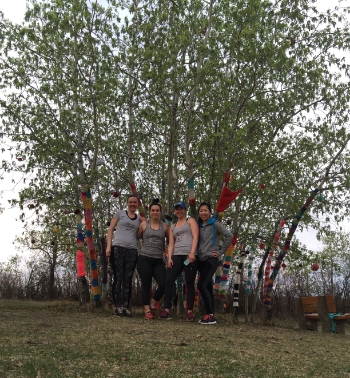 At the top of the Whitemud ravine stairs is this awesome crochet/pom pom tree project.
