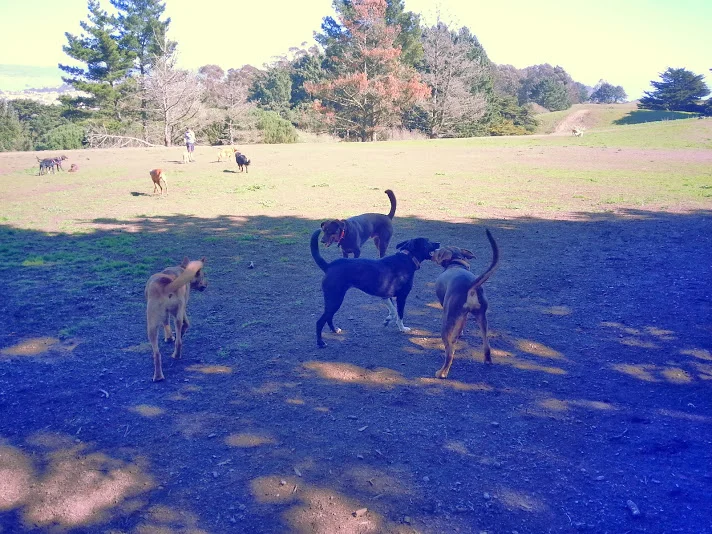 20140221_130404.jpg