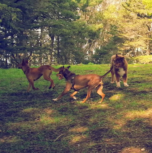 20140227_145121-1.jpg