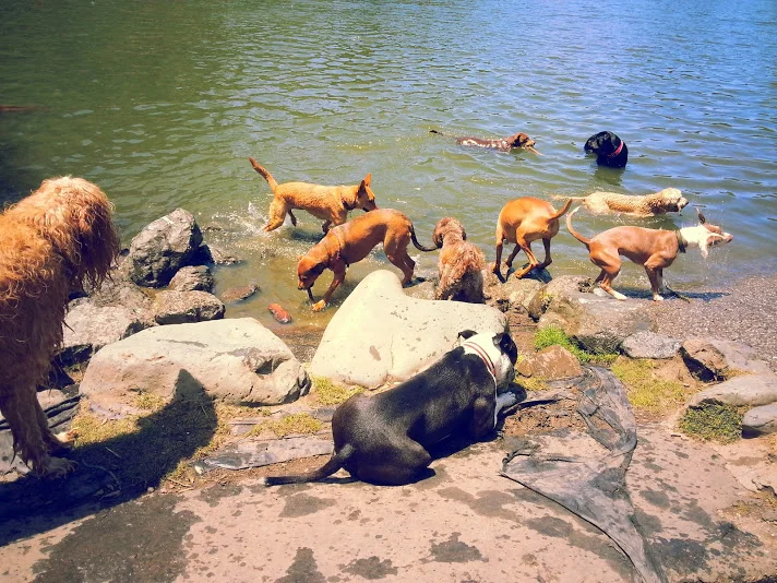 20140522_132311.jpg