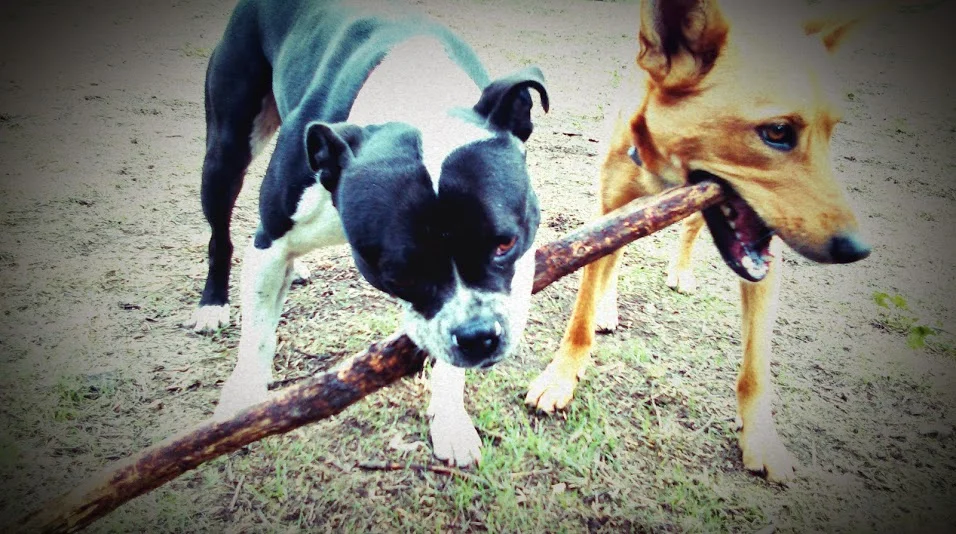 IMAG0196.jpg