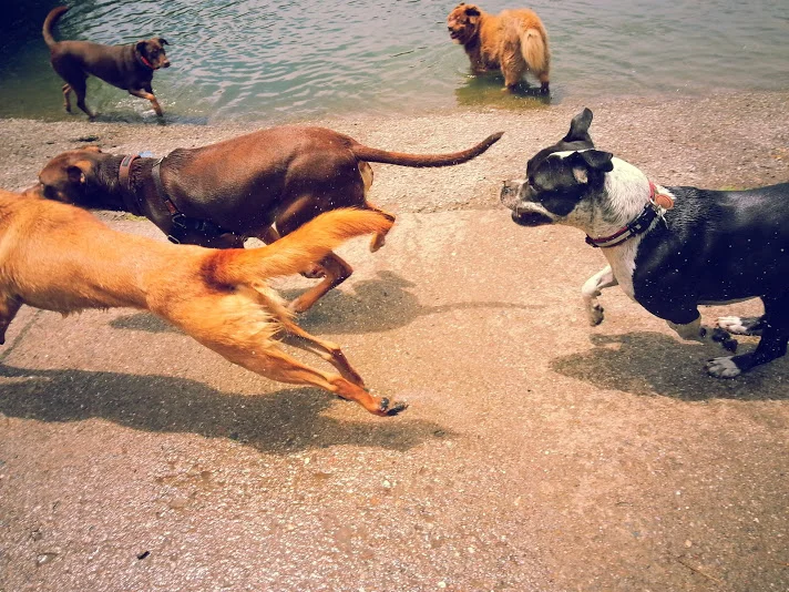 20140718_124105.jpg