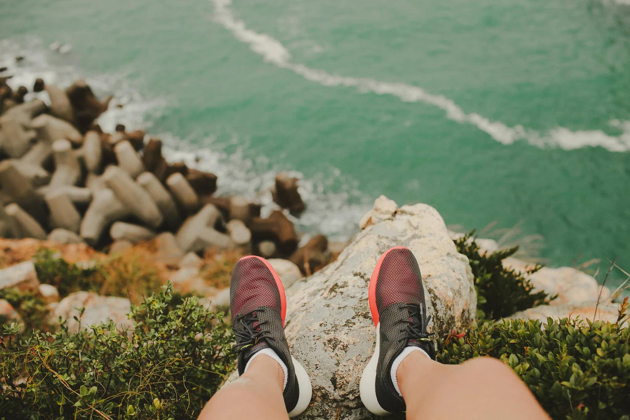 An Introverted Lazy Person's Paradise