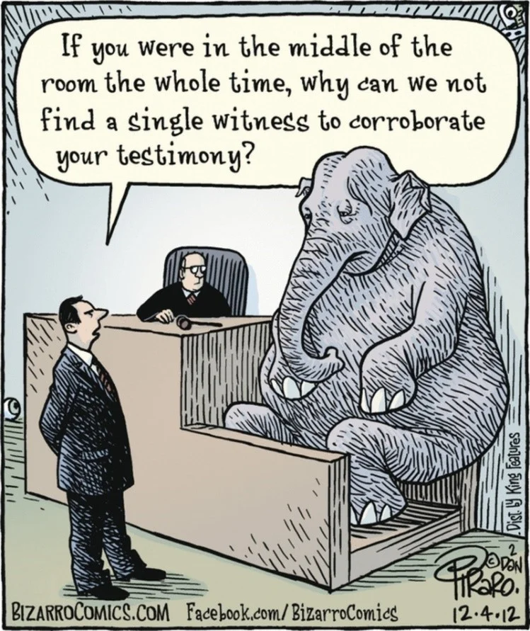 2018.04.10 Elephant in the room.jpg