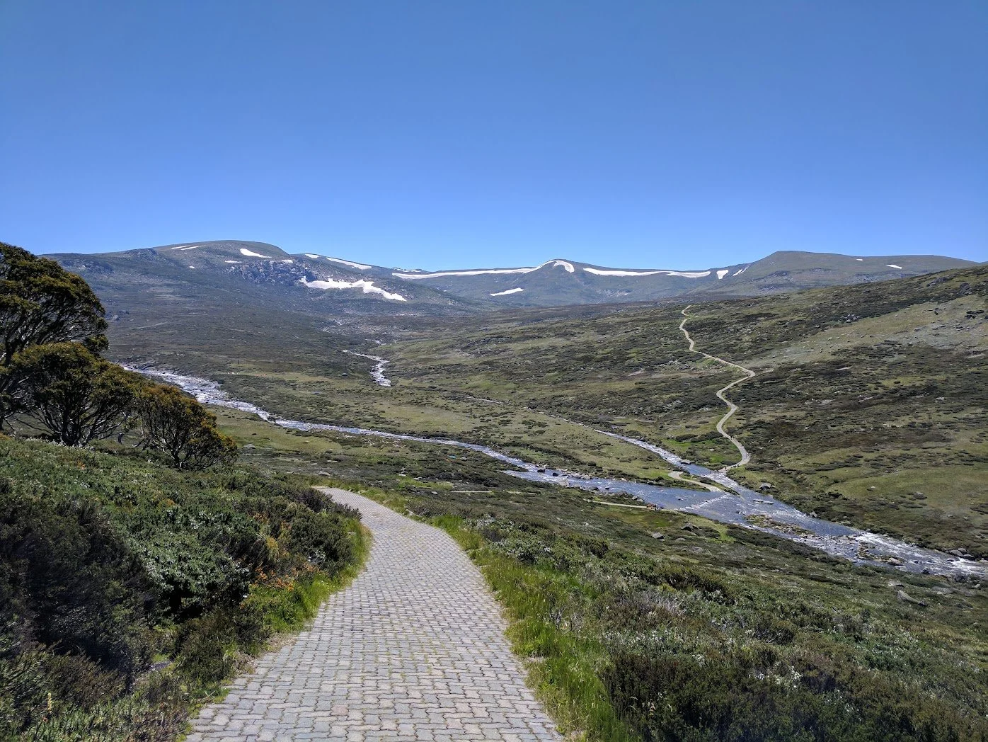 Snowgum Quarterly | Autumn 2026