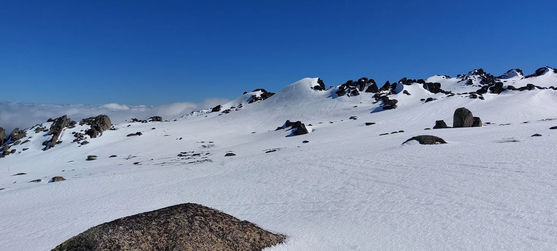 Snowgum Quarterly | Winter 2026