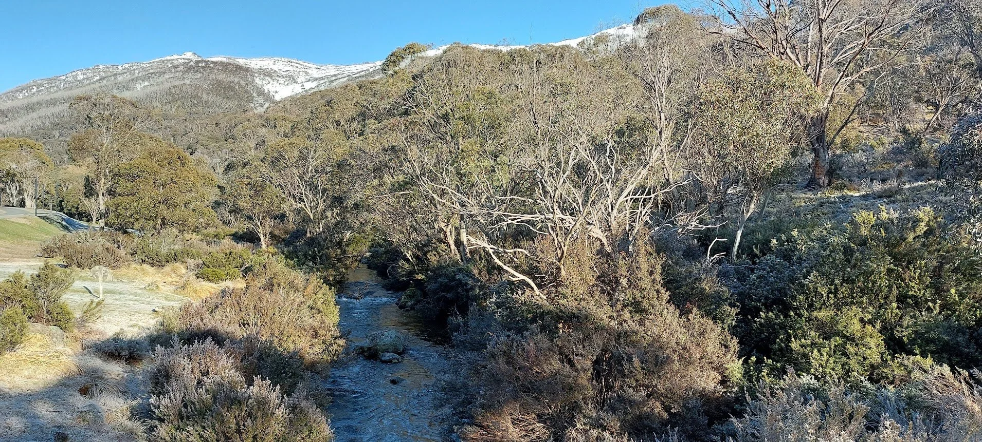 Snowgum Quarterly | Spring 2026