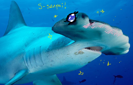 Shark Week should cover the real issues: people MS painting sharks into anime things. This has nothing to do with goals. ( img src )