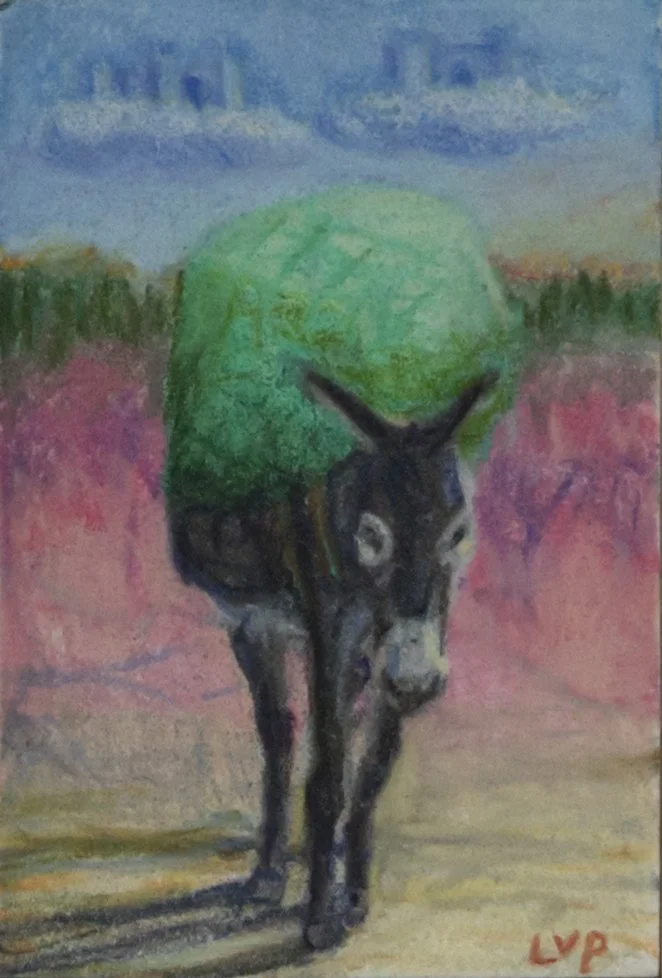 donkeyatc4.jpg