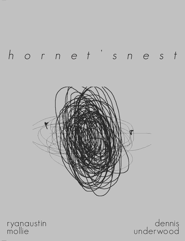 Hornets Nest cover.jpeg